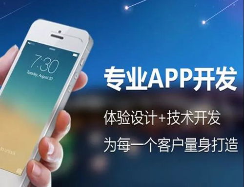 江蘇軟件定制誠信企業(yè)推薦 助力企業(yè)數字化轉型的可靠伙伴